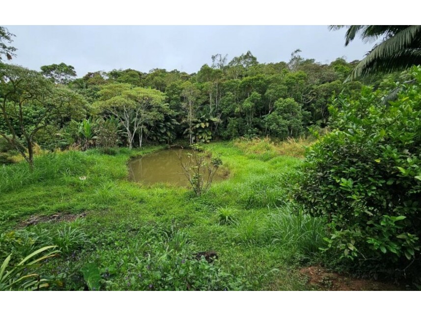 Imagem 8 do Leilão de Terreno - Vila Moraes - Mogi das Cruzes/SP