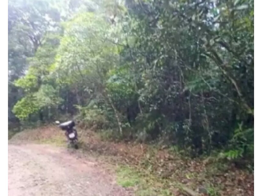Imagem 6 do Leilão de Terreno - Macucutu - São Bernardo do Campo/SP