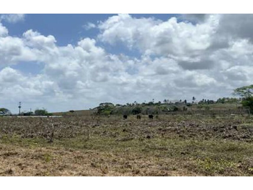 Imagem 9 do Leilão de Terreno - Expansão Urbana - Monte Alegre/RN