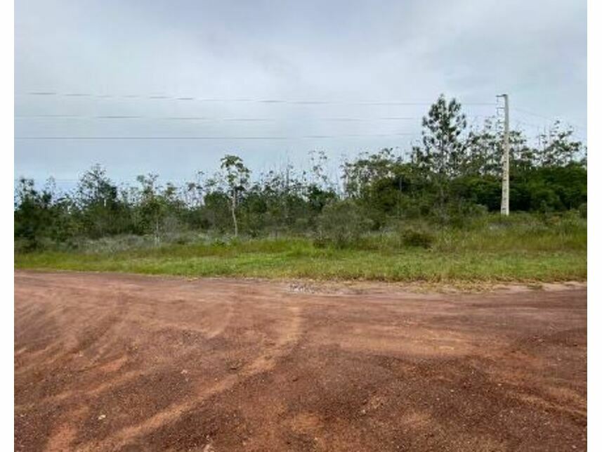 Imagem 2 do Leilão de Área Rural - Fazenda Boa Sorte - Entre Rios/BA