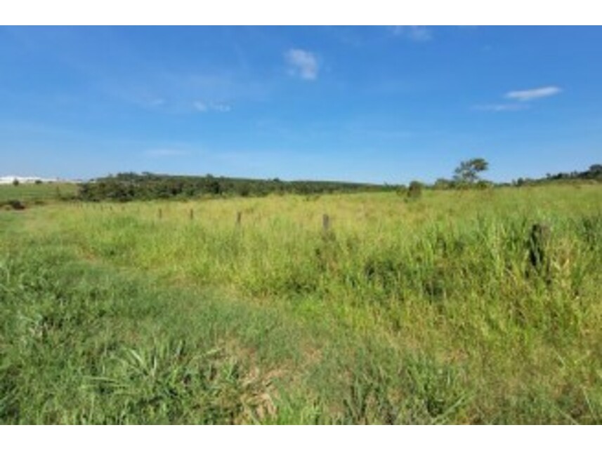 Imagem 2 do Leilão de Gleba Rural - Distrito de Graciosa - Paranavaí/PR