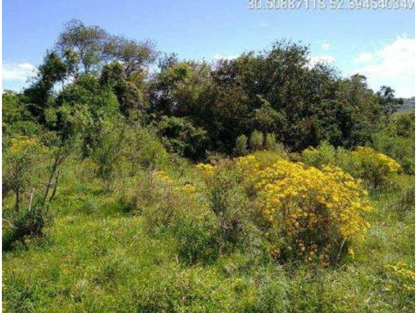 Imagem 3 do Leilão de Área Rural - Zona Rural - Encruzilhada do Sul/RS