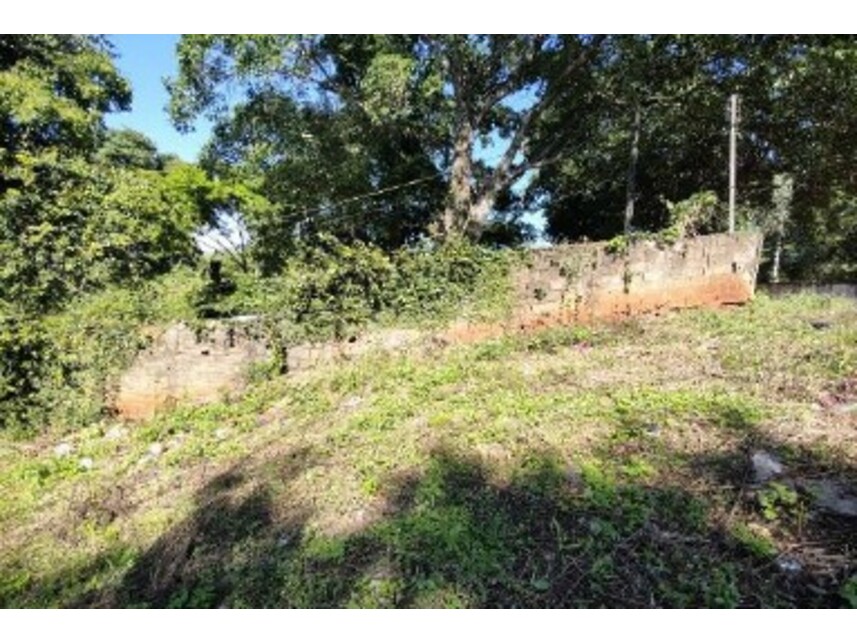 Imagem 2 do Leilão de Terreno - Centro - Foz do Iguaçu/PR