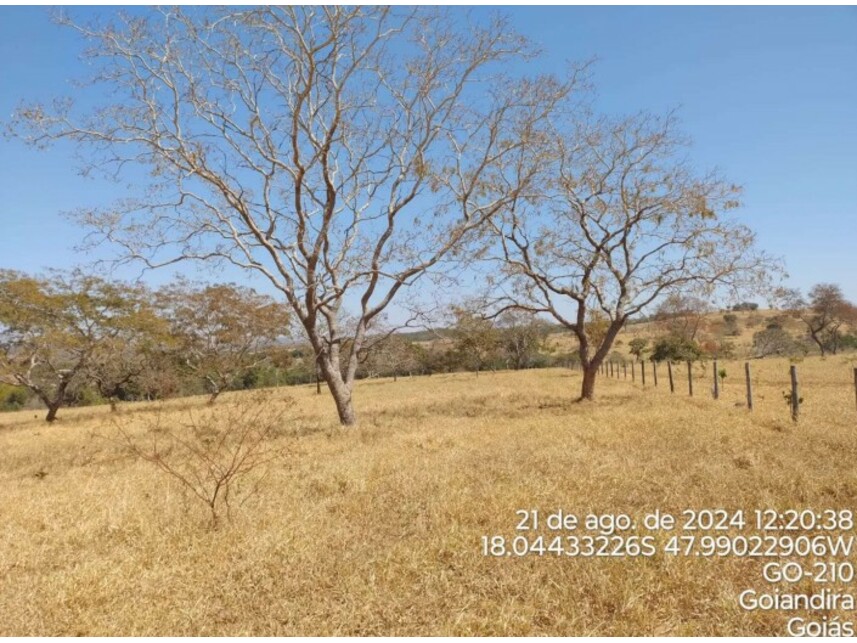 Imagem 6 do Leilão de Terreno - Zona Rural - Catalão/GO