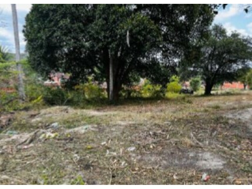 Imagem 4 do Leilão de Terreno - Mangalô - Alagoinhas/BA