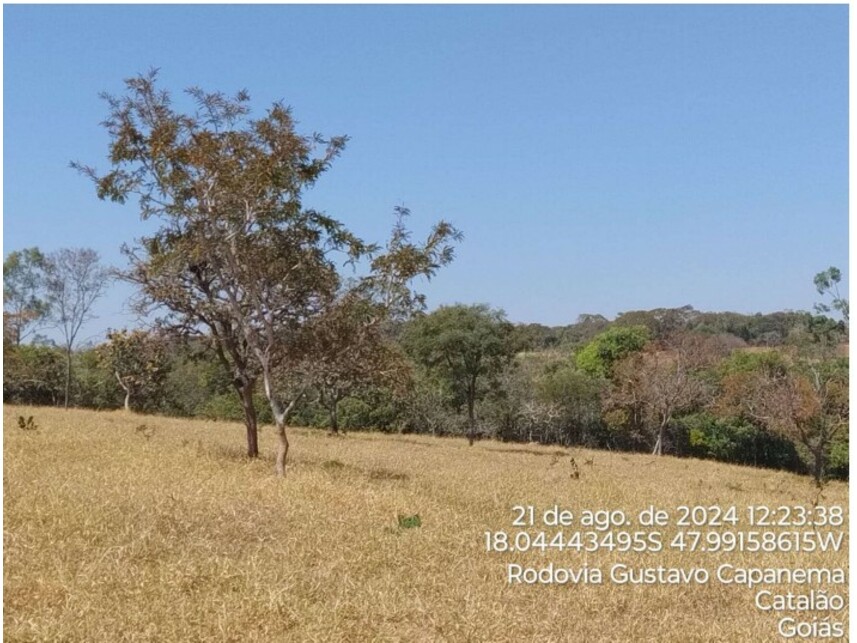 Imagem 8 do Leilão de Terreno - Zona Rural - Catalão/GO