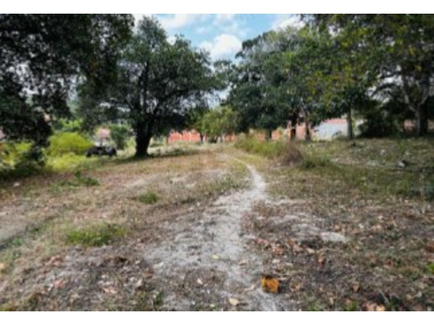 Imagem 5 do Leilão de Terreno - Mangalô - Alagoinhas/BA