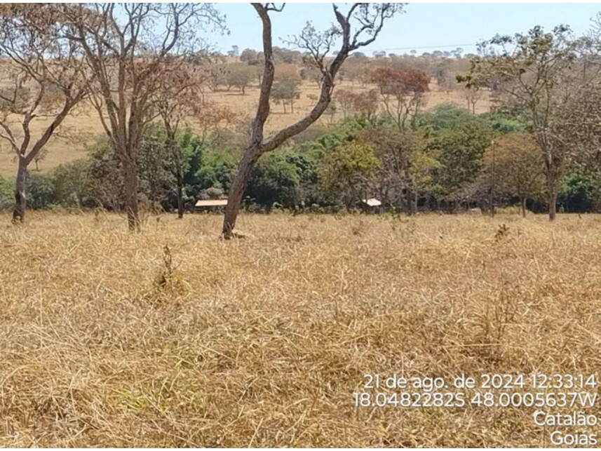 Imagem 9 do Leilão de Terreno - Zona Rural - Catalão/GO