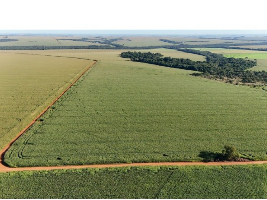 Imagem 1 do Leilão de Área Rural - Área Rural - Rio Verde/GO