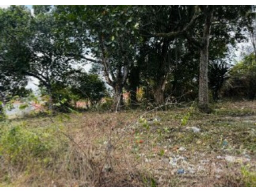 Imagem 10 do Leilão de Terreno - Mangalô - Alagoinhas/BA