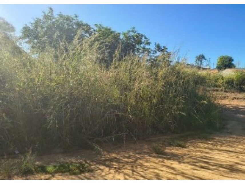 Imagem 3 do Leilão de Terrenos - Chácara Roma - Caldas Novas/GO