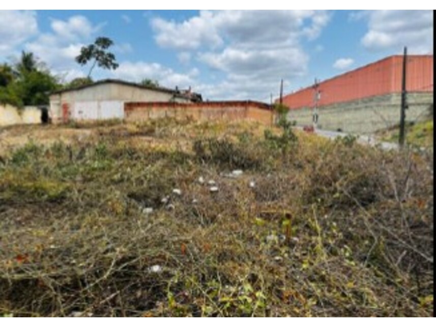 Imagem 3 do Leilão de Terreno - Mangalô - Alagoinhas/BA