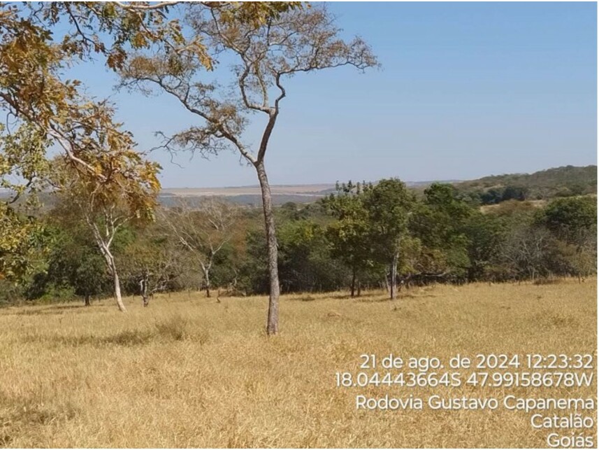Imagem 2 do Leilão de Terreno - Zona Rural - Catalão/GO