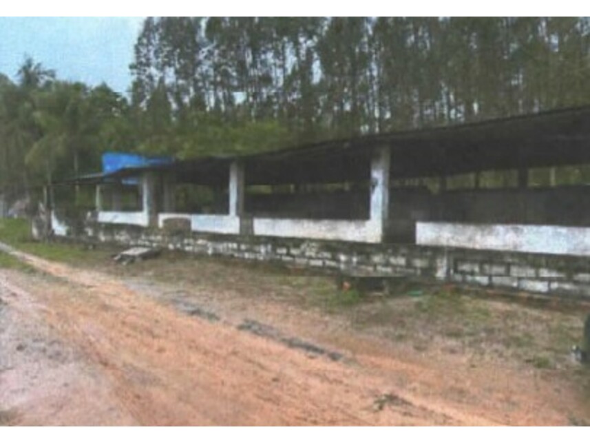 Imagem 3 do Leilão de Área Rural - Zona Rural - Entre Rios/BA