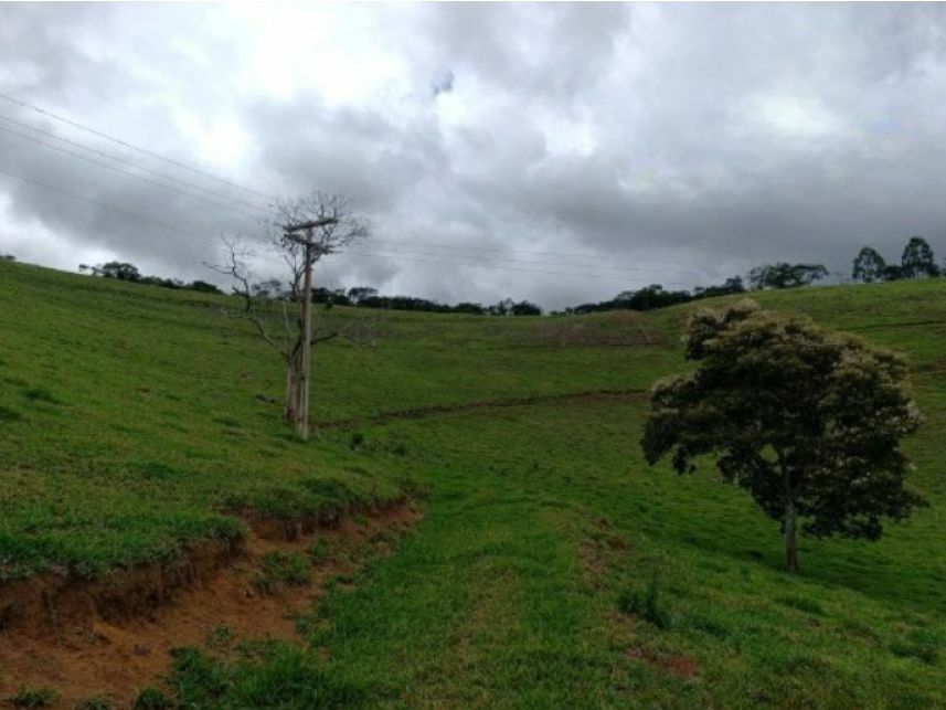 Imagem 4 do Leilão de Área Rural - Zona Rural - Duas Barras/RJ