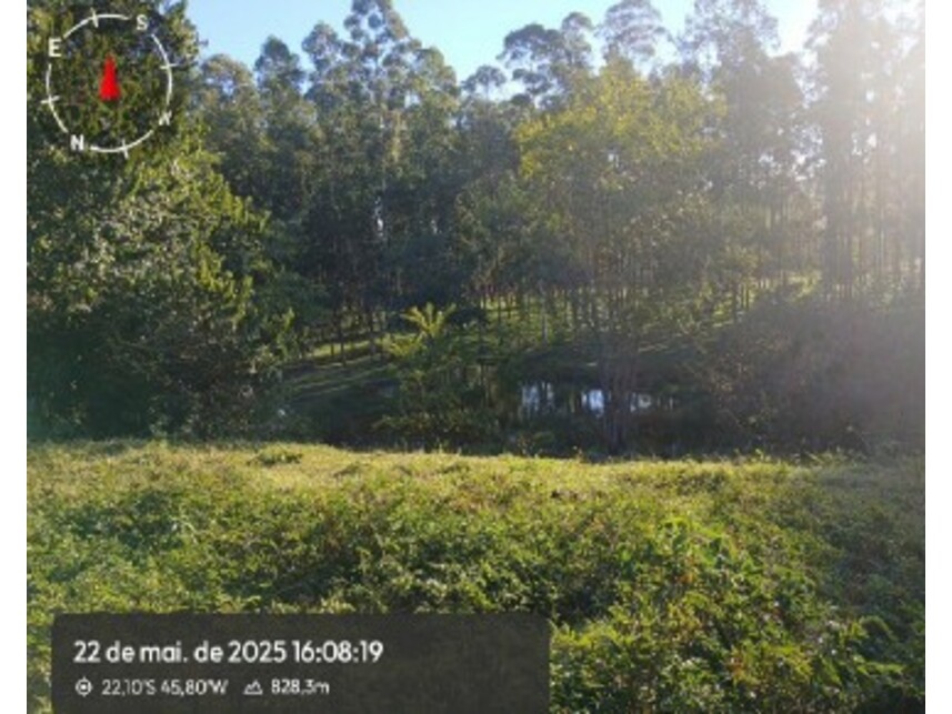 Imagem 16 do Leilão de Áreas Rurais - Zona Rural - Silvianópolis/MG