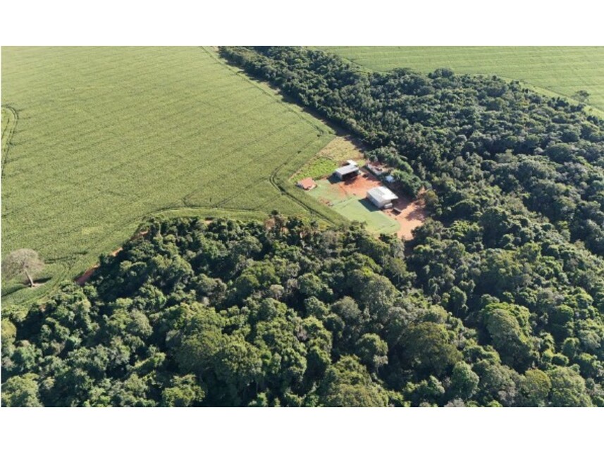 Imagem 4 do Leilão de Área Rural - Área Rural - Rio Verde/GO
