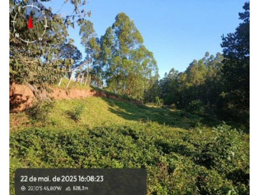 Imagem 15 do Leilão de Áreas Rurais - Zona Rural - Silvianópolis/MG