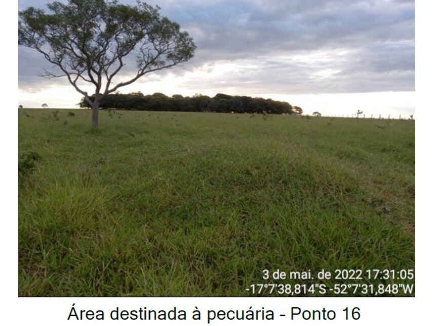 Imagem 20 do Leilão de Área Rural - Zona Rural - Caiapônia/GO