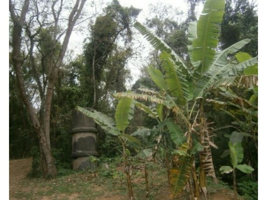 Imagem 6 do Leilão de Terreno - Sitio Tanquinho - Santana de Parnaíba/SP