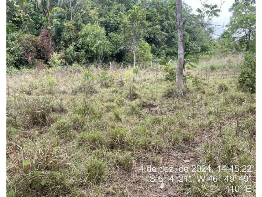 Imagem 5 do Leilão de Terreno - Zona Rural - Lajeado Novo/MA