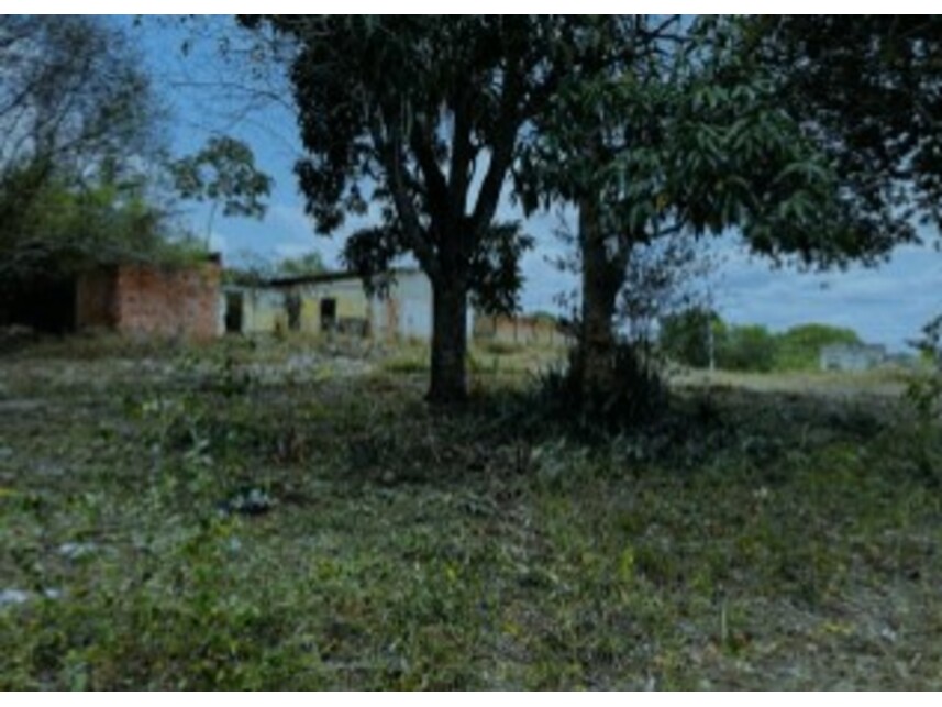 Imagem 6 do Leilão de Terreno - Mangalô - Alagoinhas/BA