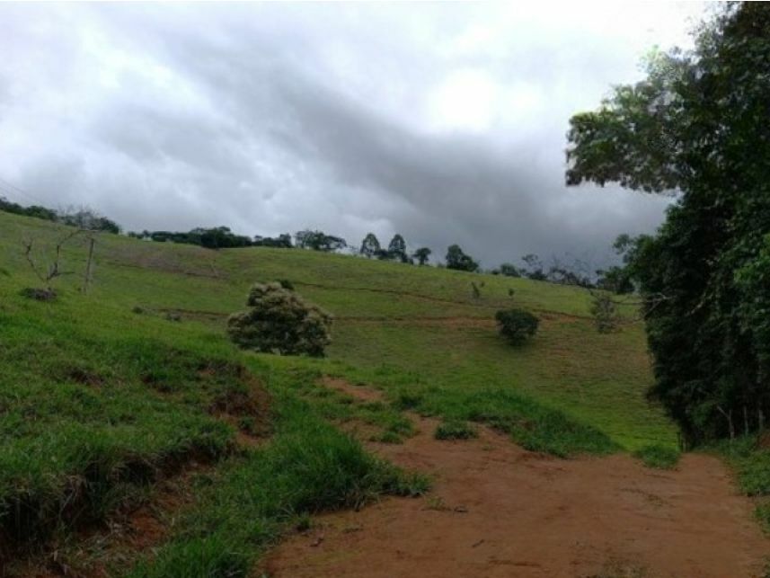 Imagem 7 do Leilão de Área Rural - Zona Rural - Duas Barras/RJ