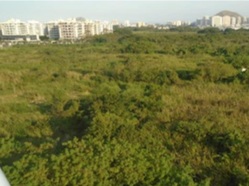 Imagem 1 do Leilão de Terreno - Recreio dos Bandeirantes - Rio de Janeiro/RJ