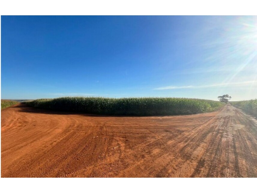 Imagem 7 do Leilão de Área Rural - Área Rural - Rio Verde/GO