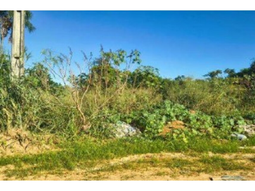 Imagem 9 do Leilão de Terrenos - Chácara Roma - Caldas Novas/GO