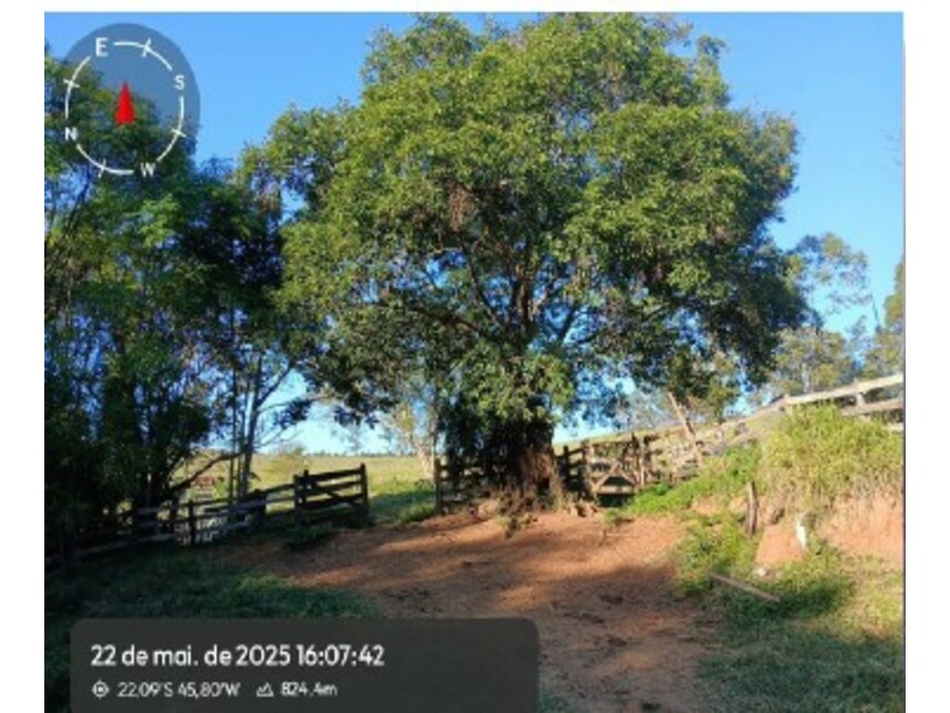 Imagem 5 do Leilão de Áreas Rurais - Zona Rural - Silvianópolis/MG