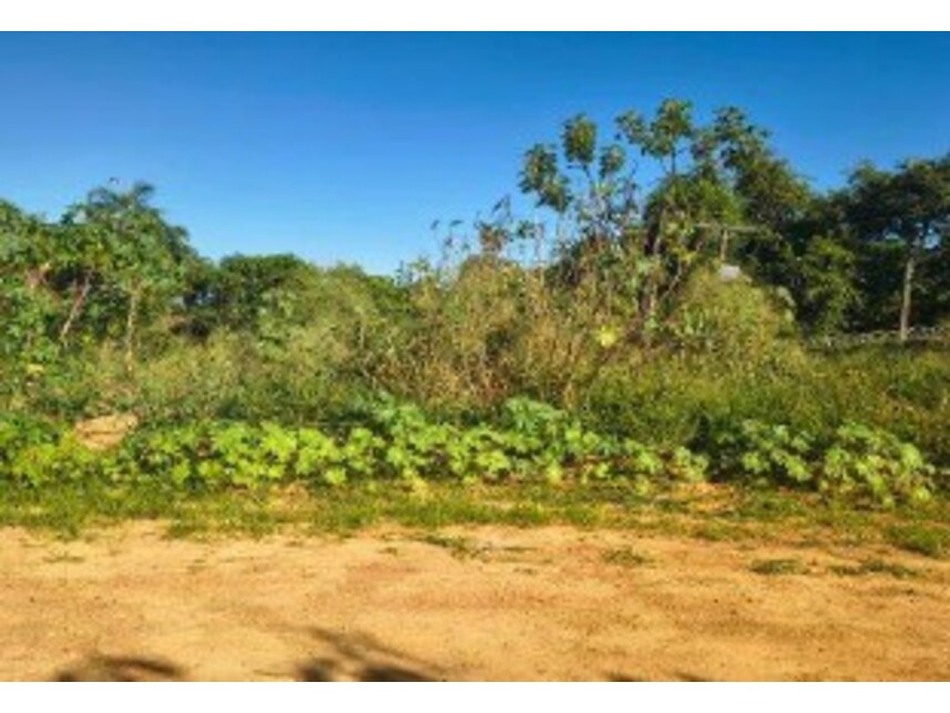 Imagem 8 do Leilão de Terrenos - Chácara Roma - Caldas Novas/GO