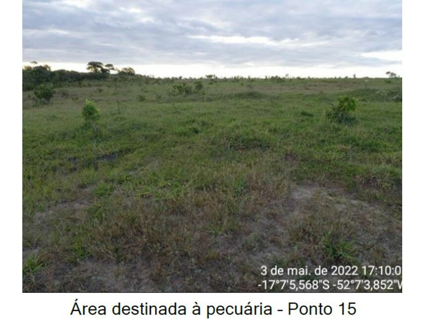 Imagem 19 do Leilão de Área Rural - Zona Rural - Caiapônia/GO