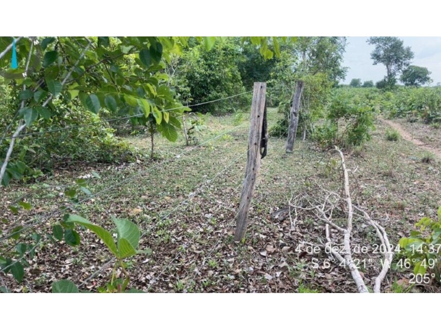 Imagem 3 do Leilão de Terreno - Zona Rural - Lajeado Novo/MA