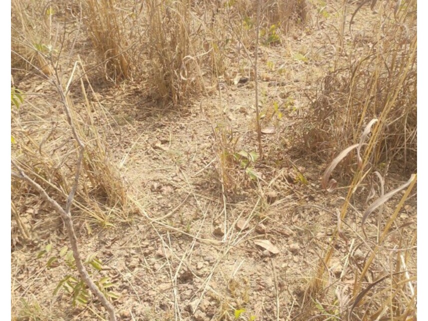 Imagem 5 do Leilão de Terreno - Zona Rural - Lagamar/MG