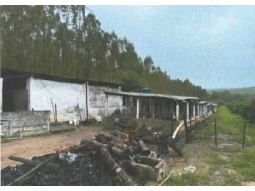 Imagem 7 do Leilão de Área Rural - Zona Rural - Entre Rios/BA