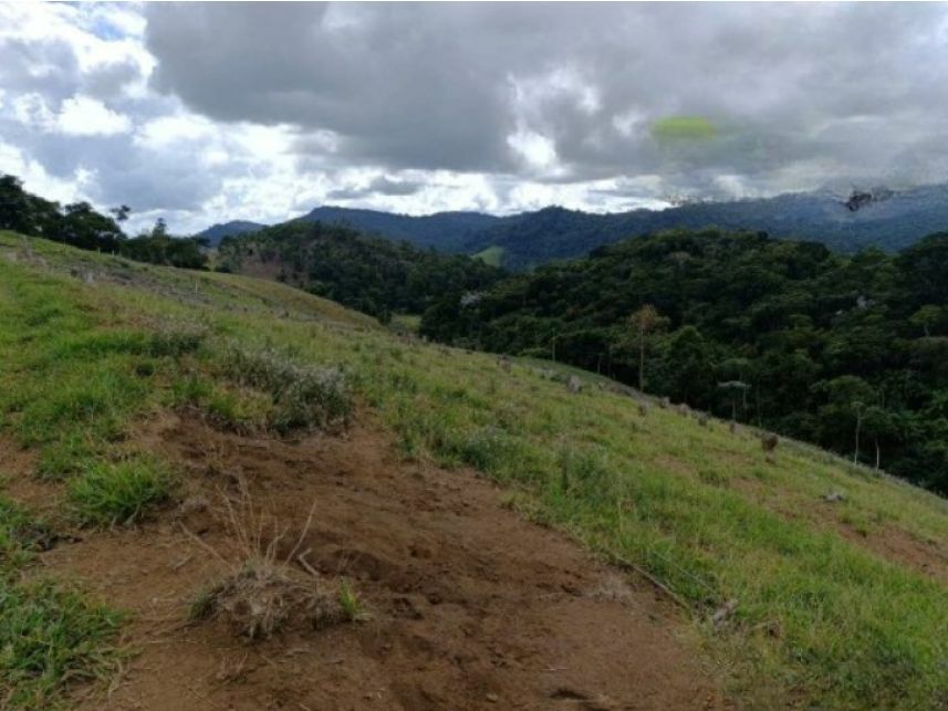 Imagem 5 do Leilão de Área Rural - Zona Rural - Duas Barras/RJ