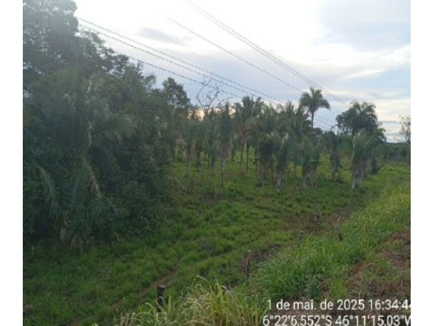 Imagem 2 do Leilão de Área Rural - Zona Rural - Formosa da Serra Negra/MA