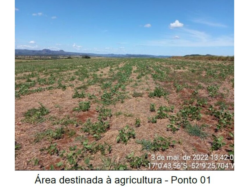 Imagem 3 do Leilão de Área Rural - Zona Rural - Caiapônia/GO