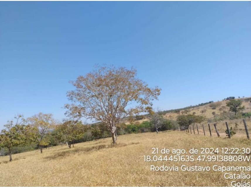 Imagem 7 do Leilão de Terreno - Zona Rural - Catalão/GO
