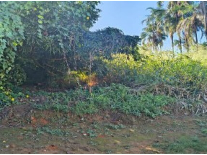 Imagem 7 do Leilão de Terrenos - Chácara Roma - Caldas Novas/GO