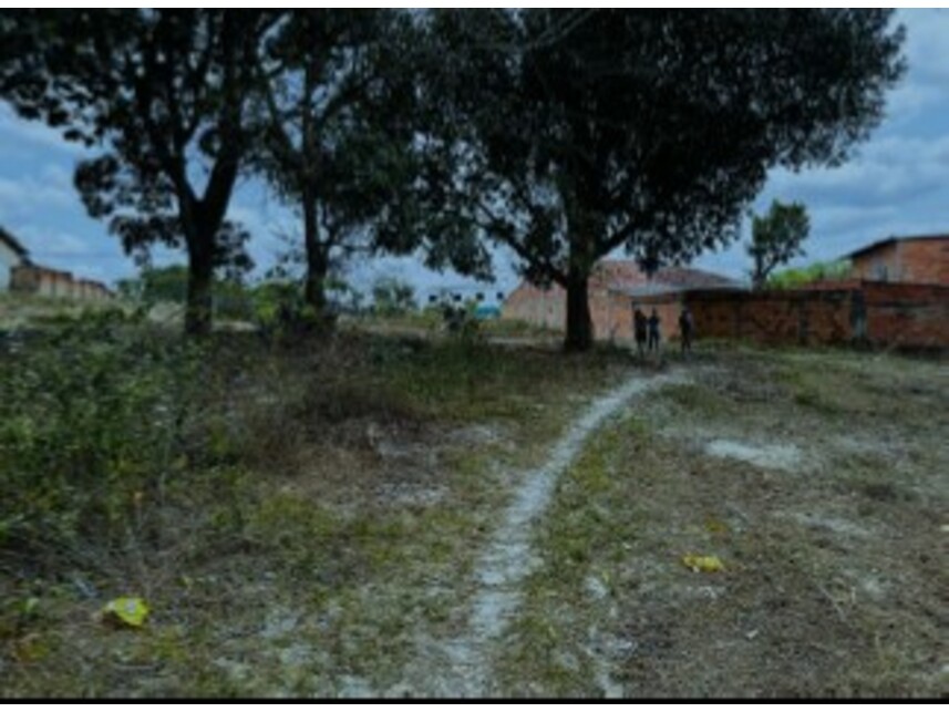 Imagem 7 do Leilão de Terreno - Mangalô - Alagoinhas/BA