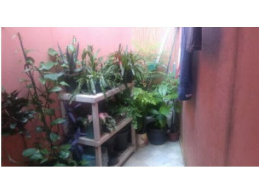 Imagem 9 do Leilão de Casa - Vila Romana - São Paulo/SP