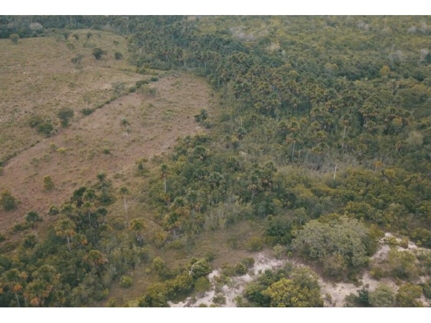 Imagem 6 do Leilão de Terreno - Zona Rural - Lajeado Novo/MA
