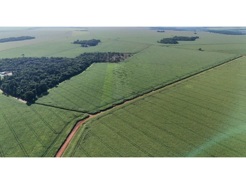 Imagem 5 do Leilão de Área Rural - Área Rural - Rio Verde/GO