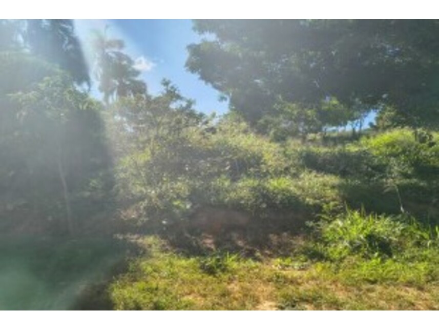 Imagem 4 do Leilão de Terrenos - Chácara Roma - Caldas Novas/GO