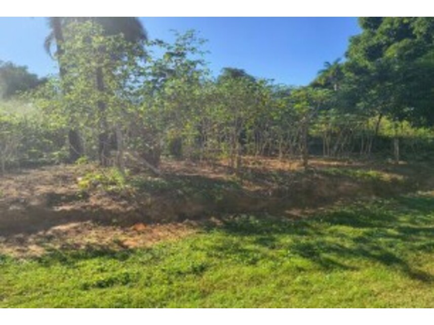 Imagem 5 do Leilão de Terrenos - Chácara Roma - Caldas Novas/GO