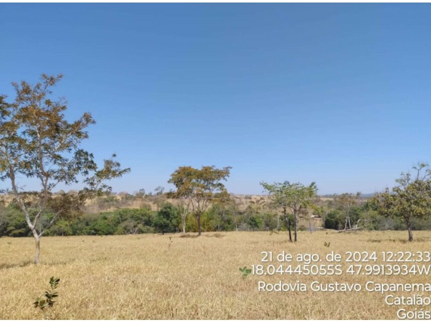 Imagem 5 do Leilão de Terreno - Zona Rural - Catalão/GO