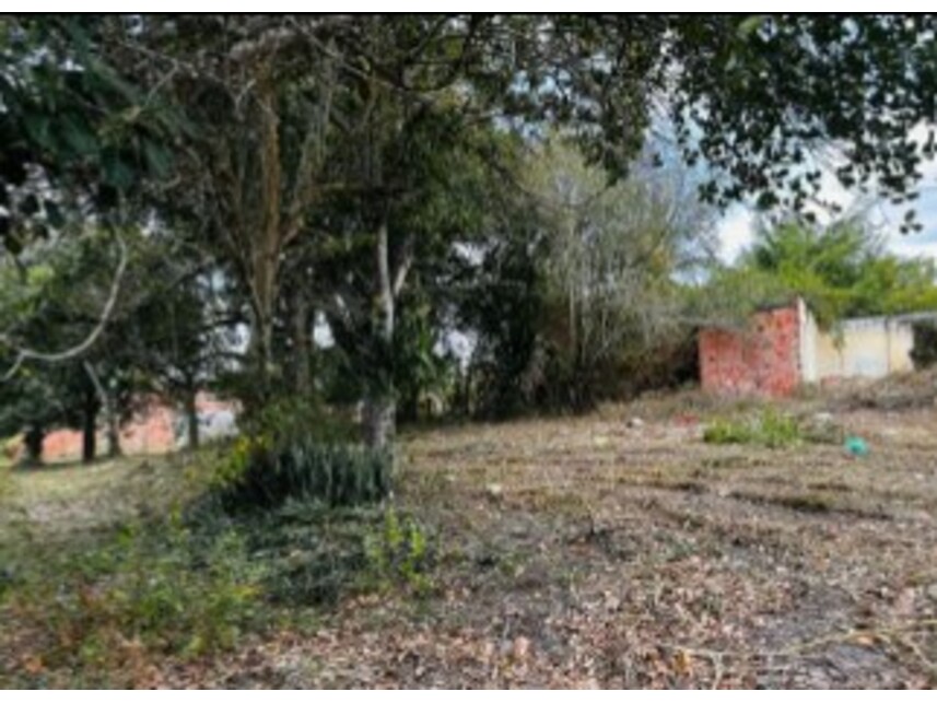 Imagem 2 do Leilão de Terreno - Mangalô - Alagoinhas/BA