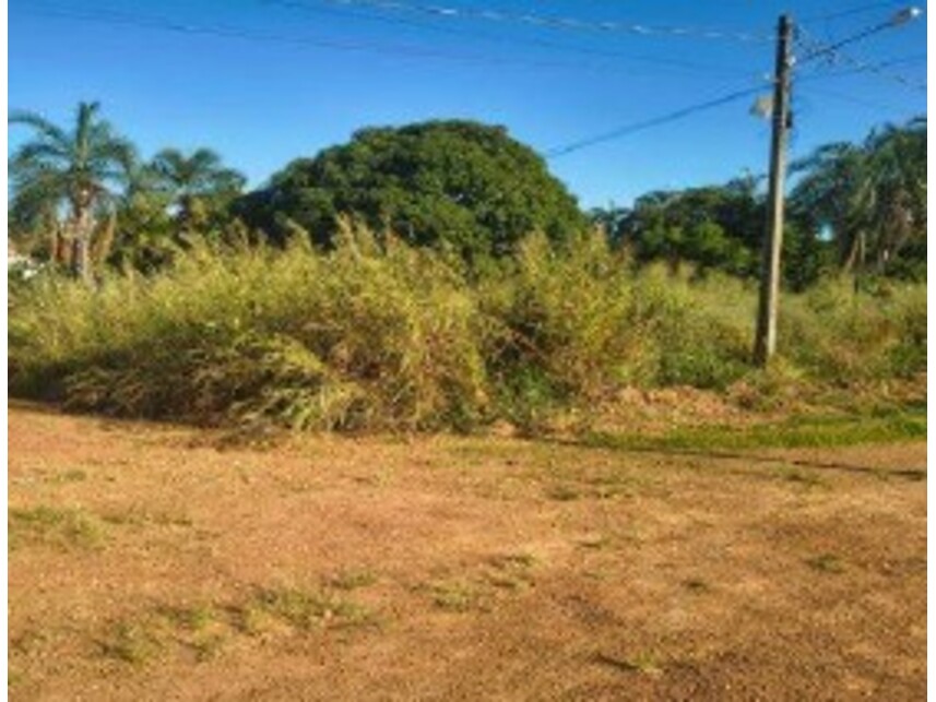 Imagem 13 do Leilão de Terrenos - Chácara Roma - Caldas Novas/GO